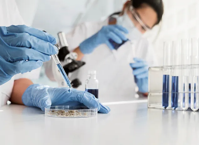Why Choose Our Advanced Training?
